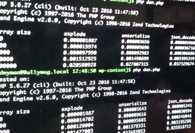Unserialize Performance in PHP